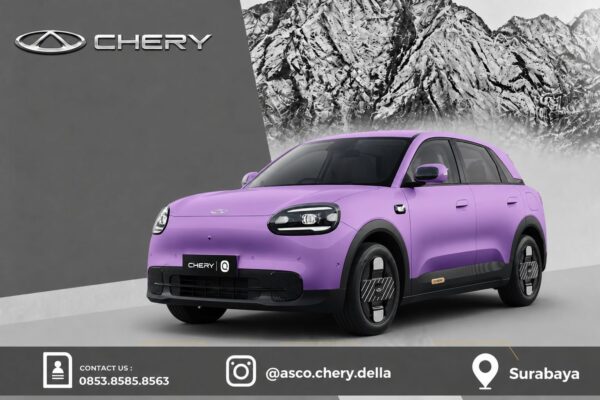Chery Q